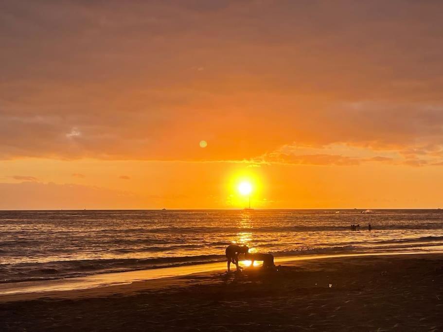 Costa Adeje, 2 Bedrooms Apartment エクステリア 写真